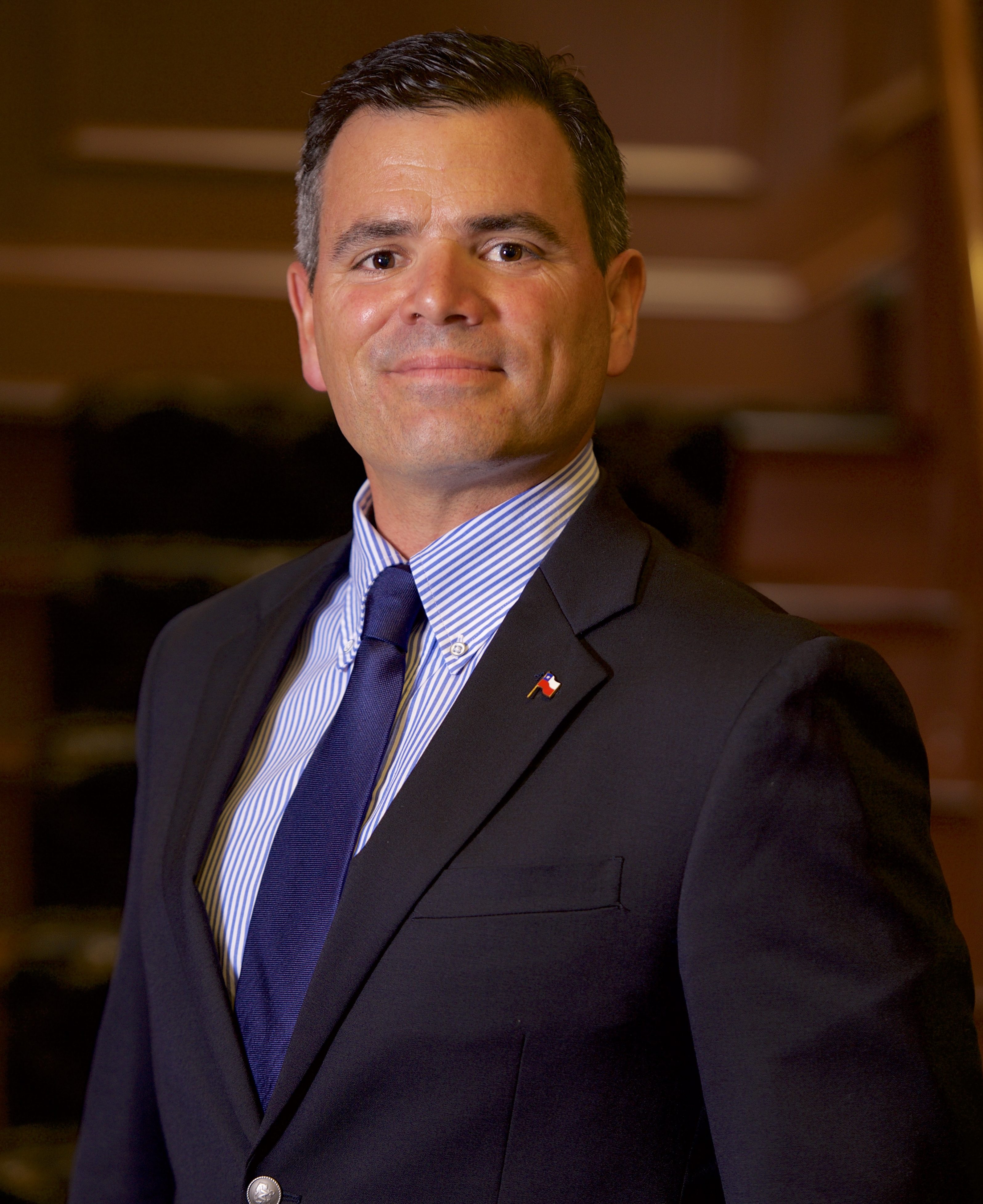 security studies luksic fellow